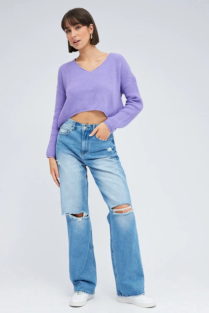 Purple Knit Jumper Long Sleeve V Neck
