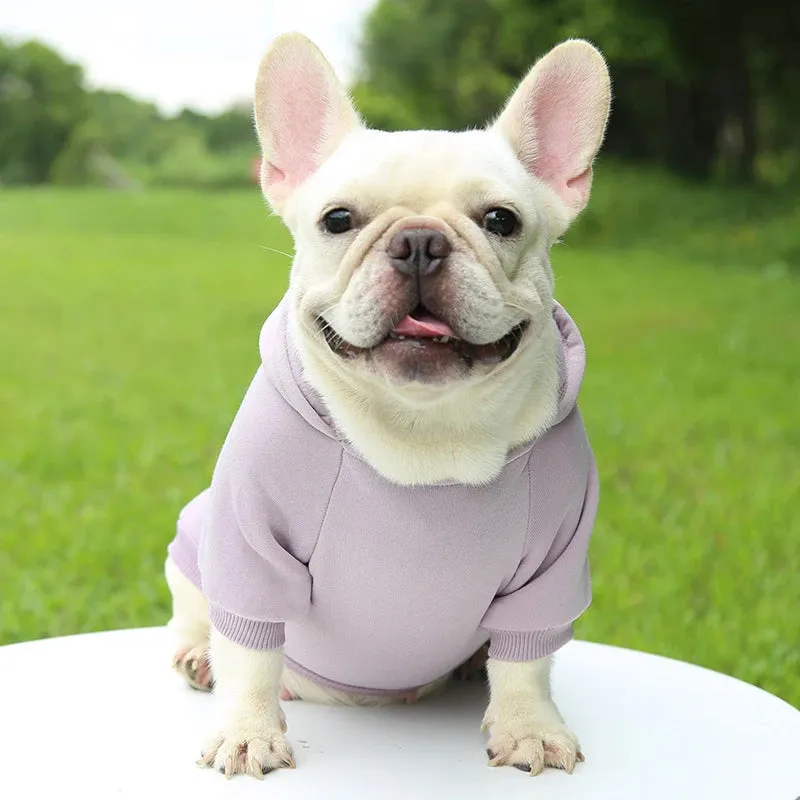 Stylish Dog Hoodie for Autumn and Winter - Warm Polyester Sweater for Small Pets