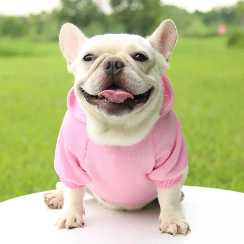 Stylish Dog Hoodie for Autumn and Winter - Warm Polyester Sweater for Small Pets