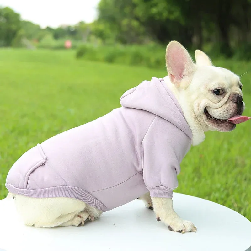 Stylish Dog Hoodie for Autumn and Winter - Warm Polyester Sweater for Small Pets