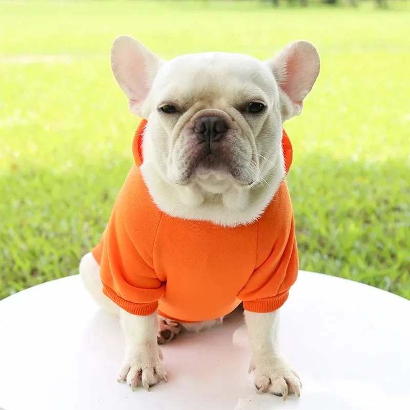 Stylish Dog Hoodie for Autumn and Winter - Warm Polyester Sweater for Small Pets