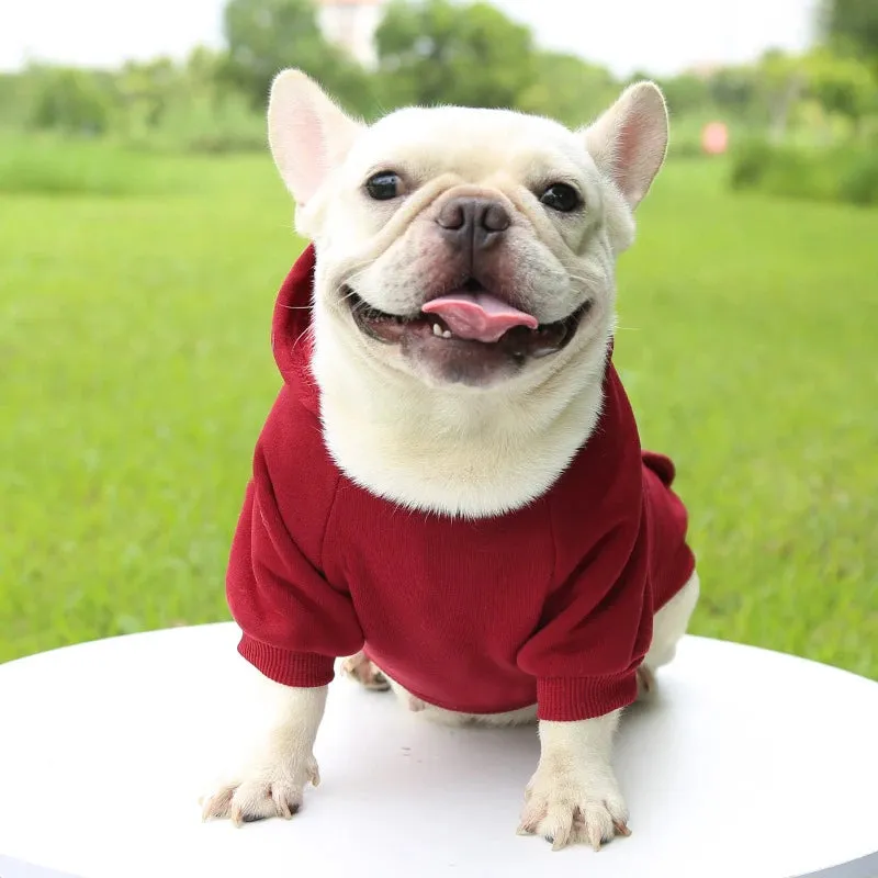 Stylish Dog Hoodie for Autumn and Winter - Warm Polyester Sweater for Small Pets